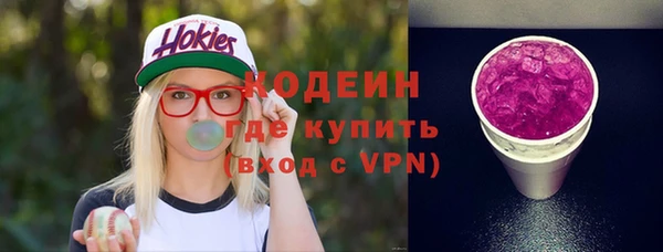 гидра Галич