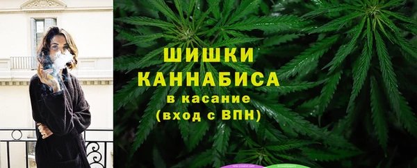 винт Вяземский