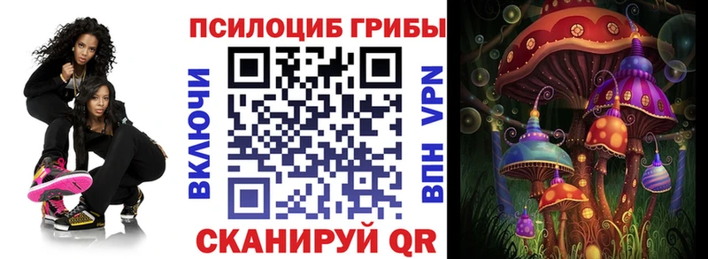 где найти наркотики  Ртищево  Псилоцибиновые грибы Psilocybine cubensis 